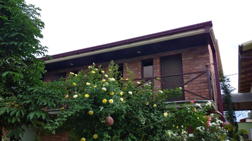 pacious single room  — photo 3